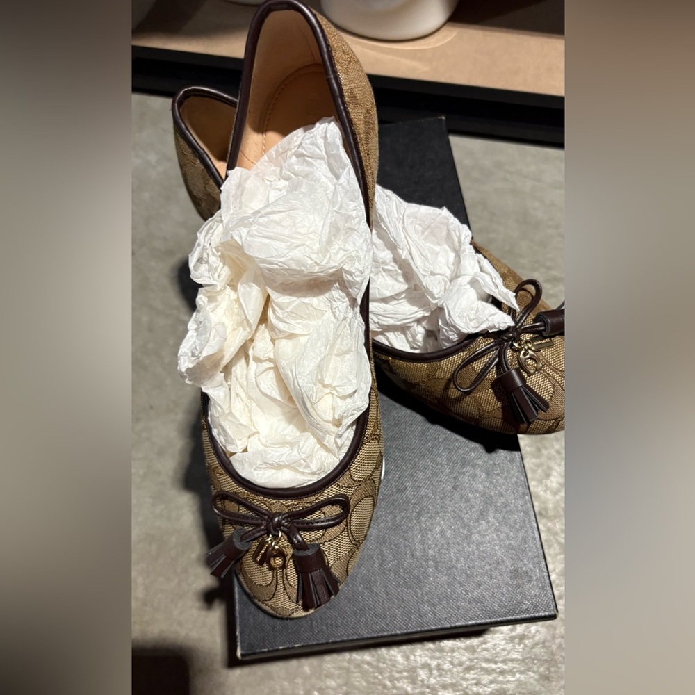 Coach Brown Patterned Loafers with Tassel Detail